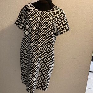 Zara Basic Black & White Knee Length Dress L